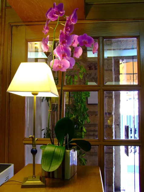 Hotel Picos de Europa - Lobby