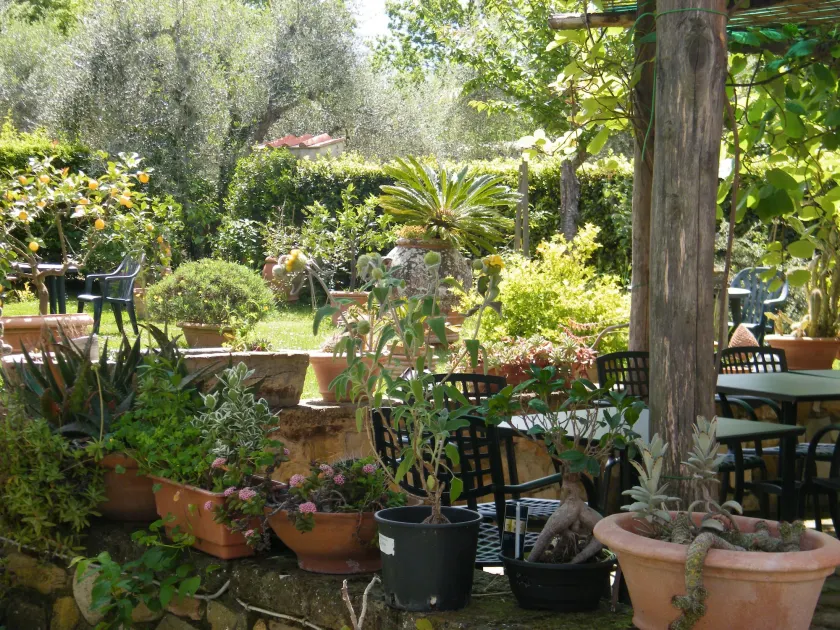 Poggio Alle Lame - Lobby