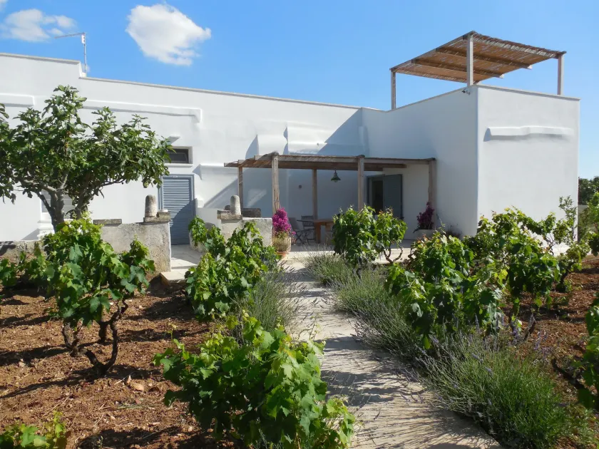 Casale alle Vigne - Image 1