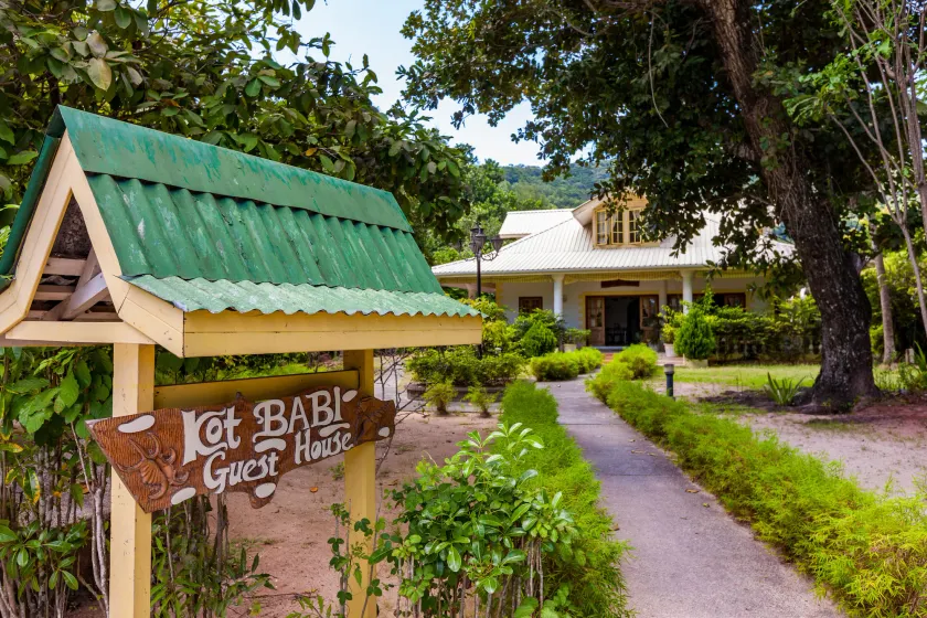 Kot Babi - Image 1