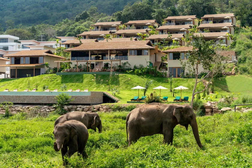 Wild Cottages Elephant Sanctuary Resort - Image 1