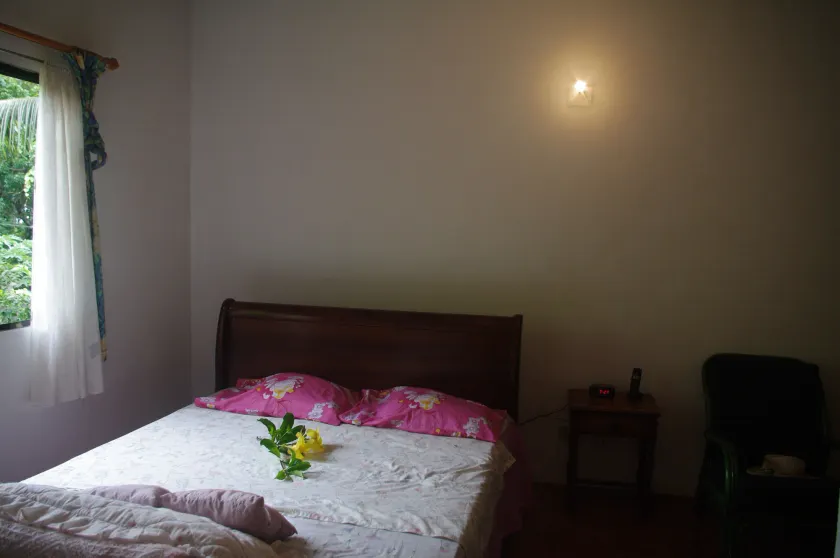 Papaya Guesthouse - Room