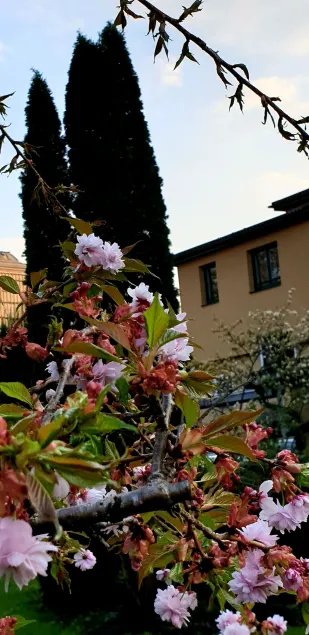 Hotel Via Roma - Image 1