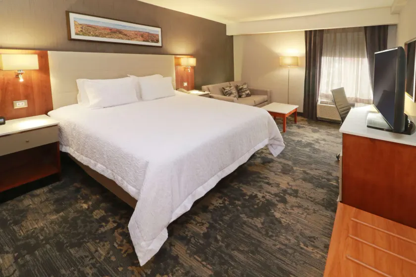 Hampton by Hilton Chihuahua - Image 1