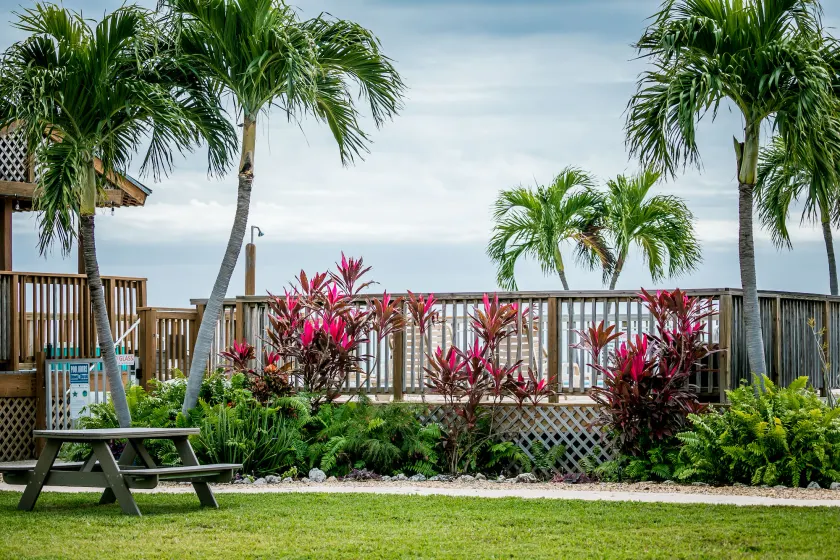 Ragged Edge Resort & Marina - Image 1