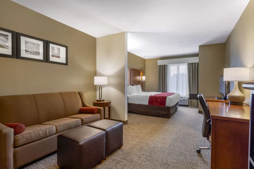 Comfort Suites Knoxville North - Image 1