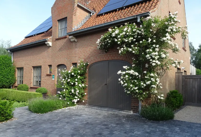 B&B De Passant - Image 1