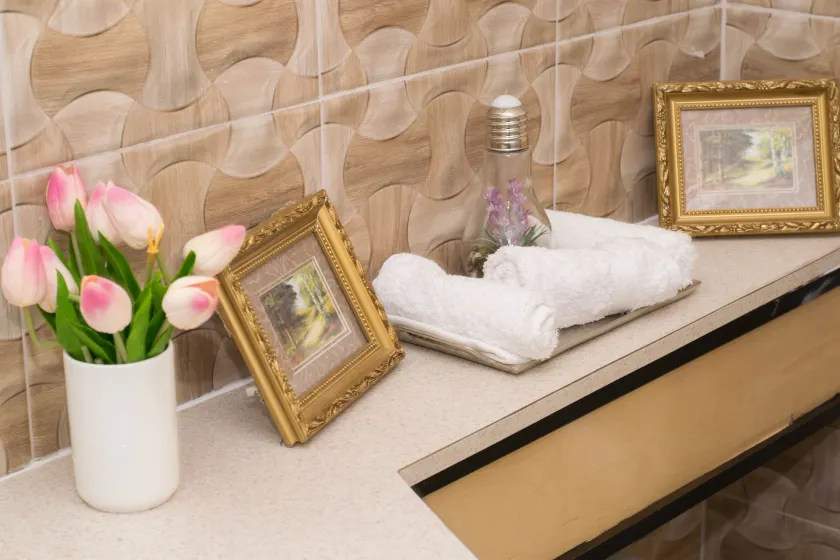 Rochester Modern Chic Apartment - Image 1