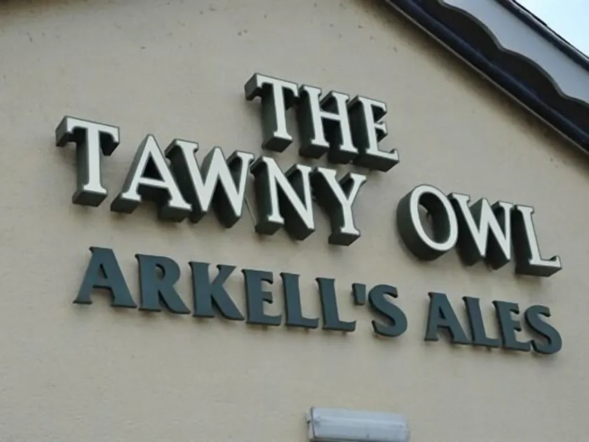 The Tawny Owl - Image 1