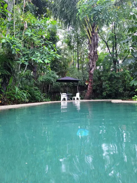 Travellers Paradise - Image 1