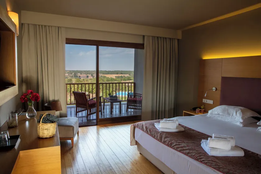 Bakucha Vineyard Hotel ve Spa - Image 1