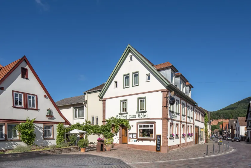 Adler Landhotel - Image 1