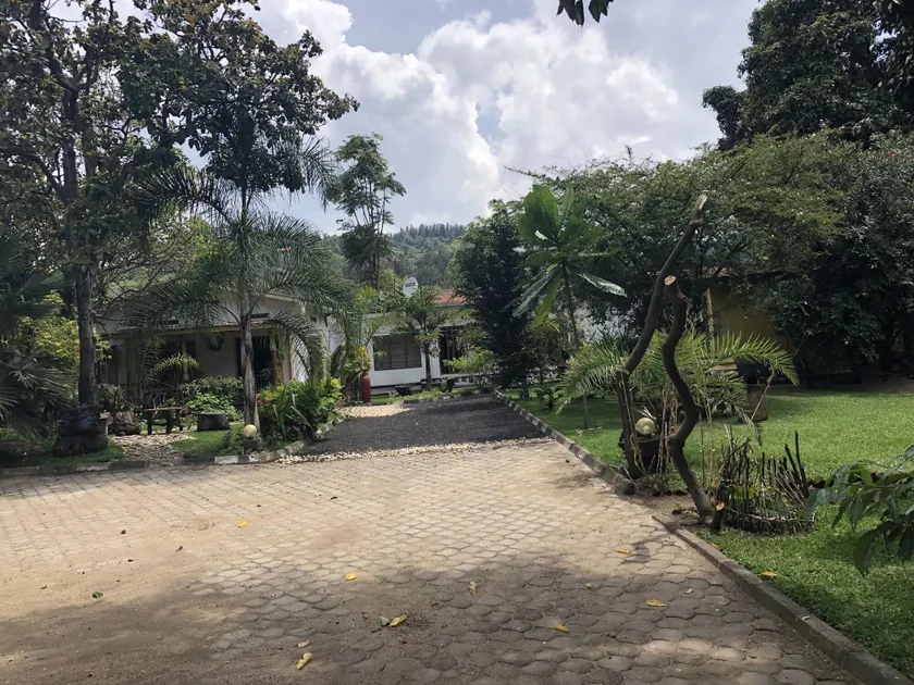 Kivu Beach Garden - Image 1