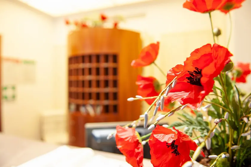Hotel Portavaldera - Reception