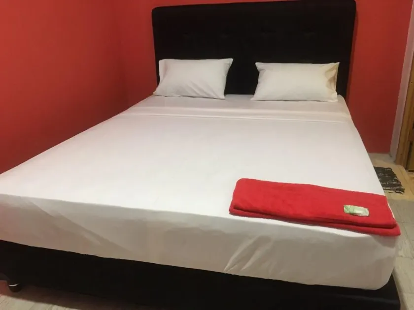 Coconut Hotel - Hostel - Image 1