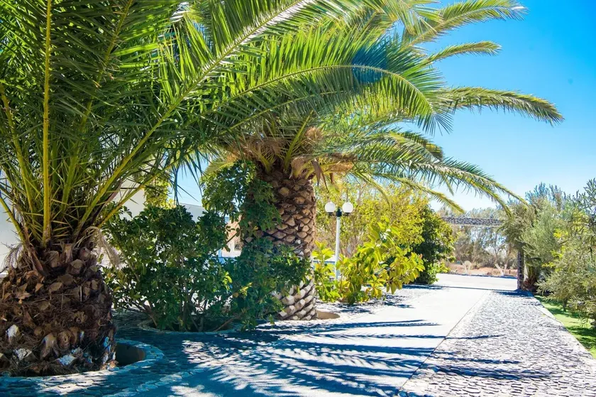 Blue Sapphire Perissa Hotel - Image 1