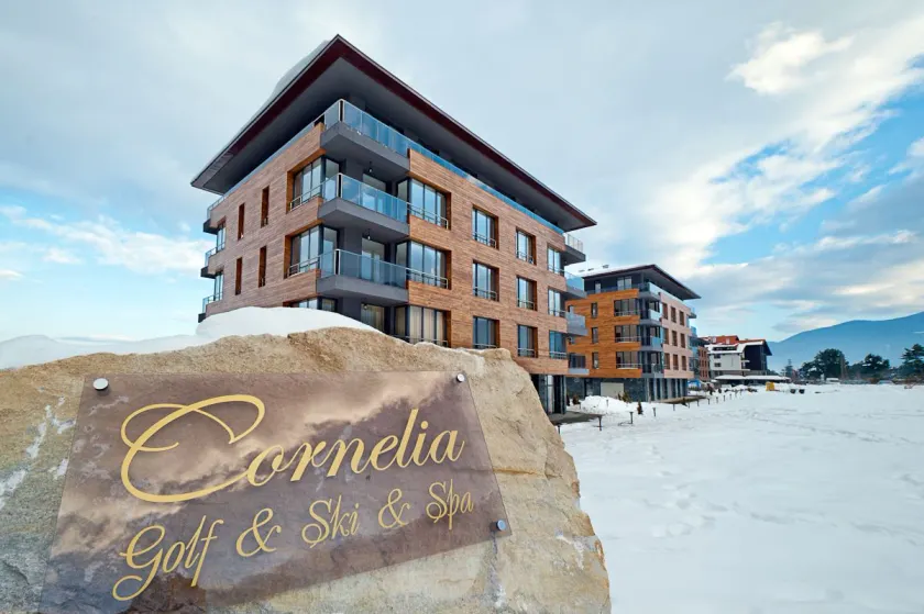 Cornelia Deluxe Residence - Image 1