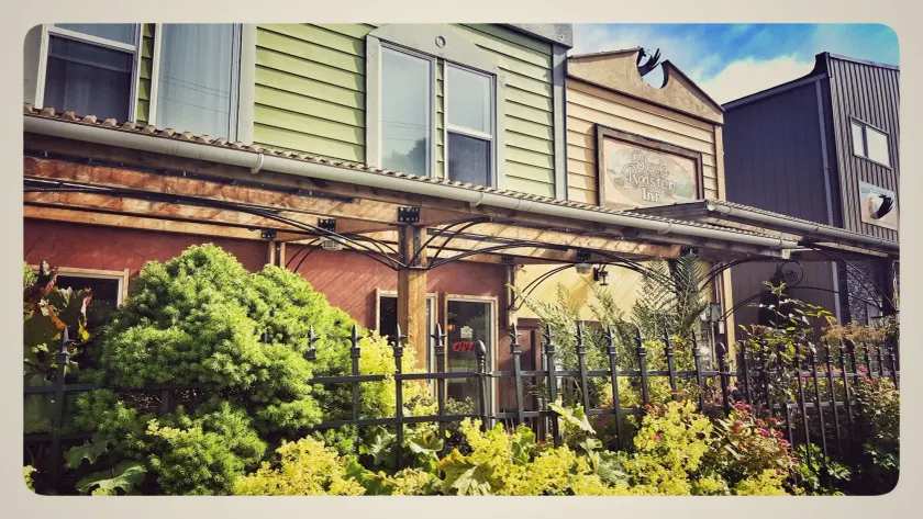 Black Rooster Guesthouse - Image 1