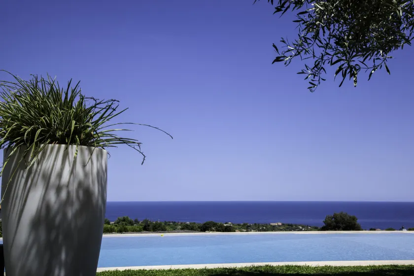 Tenuta Santa Tecla - Image 1