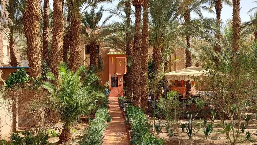 Riad le Petit Jardin  - Image 1