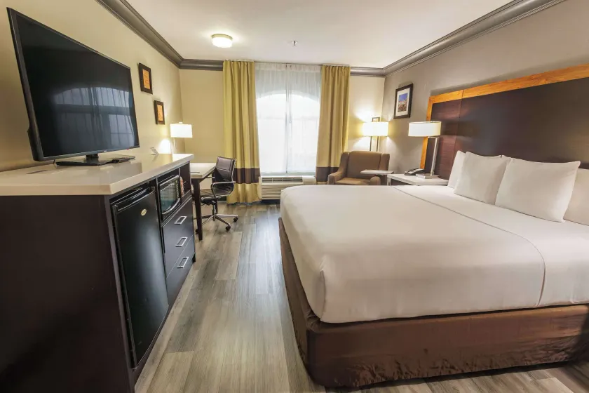 Comfort Inn & Suites Near Universal - N Hollywood - Burbank - Image 1