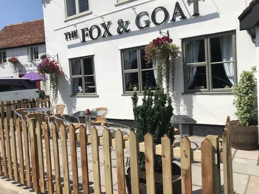 Fox and Goat - Image 1