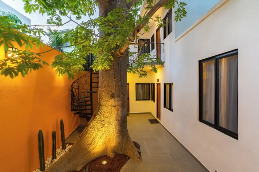 Casa Madero La Paz - Image 1