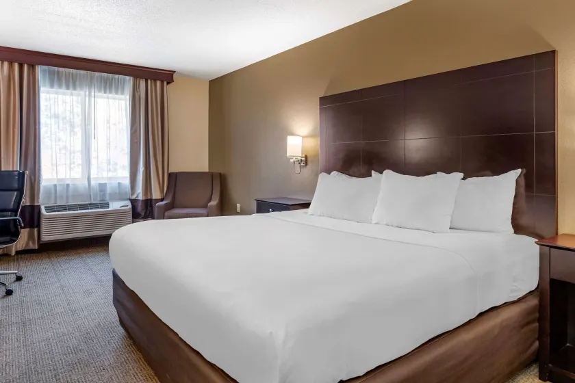 Comfort Inn & Suites Paw Paw - Image 1