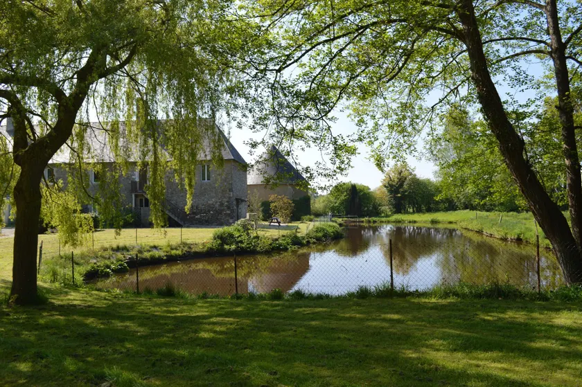 La Synchronicité - Chambres d'Hôtes - Image 1