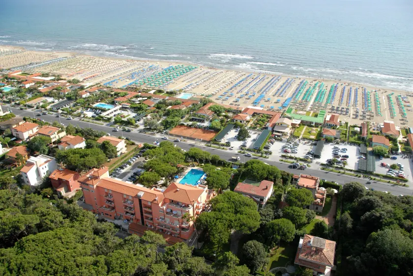 Versilia Palace Hotel - Image 1