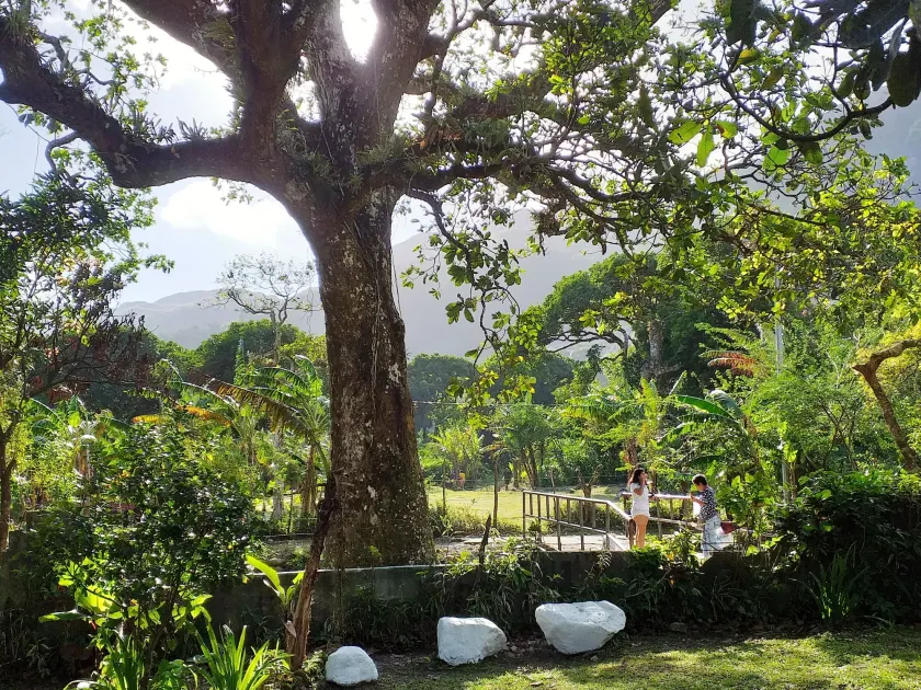 La Casita de Don Daniel - Image 1