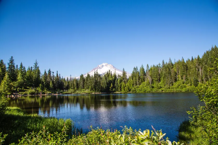 Mt Hood Village RV Resort - Image 1