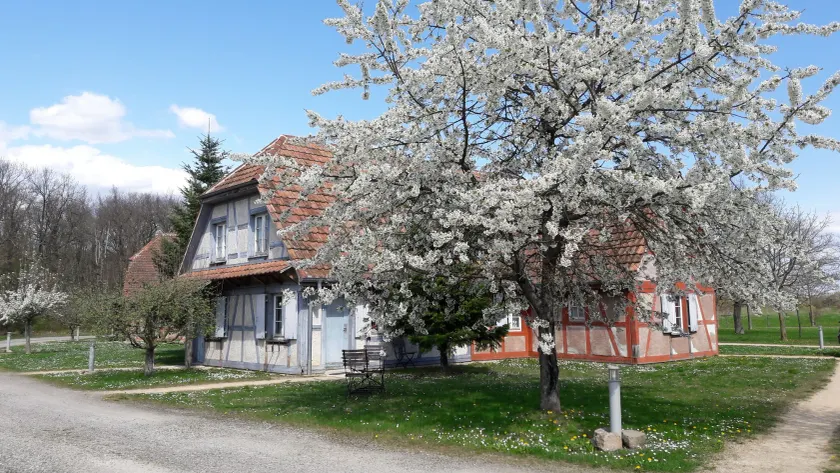 Les Loges de l'Ecomusée D'Alsace - Image 1