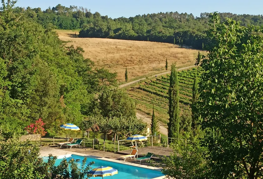 Agriturismo San Bernardino Del Lago - Image 1