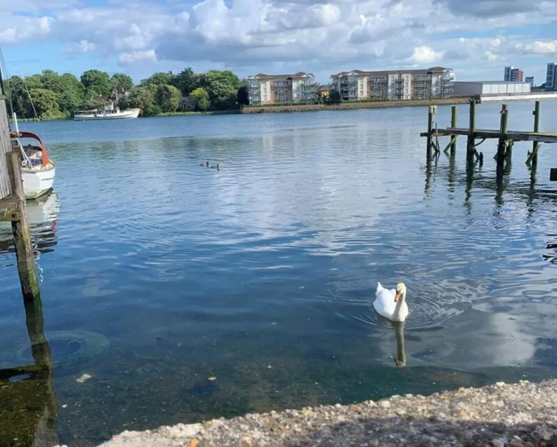 Apartment, Stylish 2 bed Riverside House, 2 Kingsize beds, Free Parking - Image 1