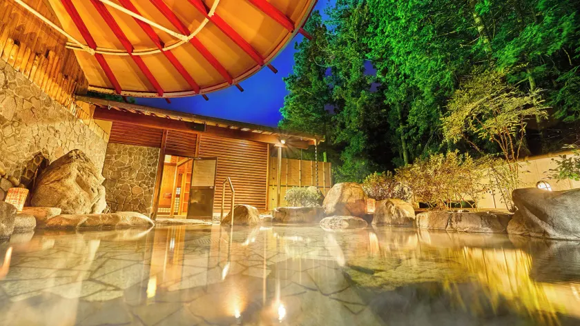 Ooedo Onsen Monogatari Gero Bekkan - Image 1