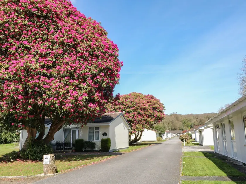 Willow Lodge - Image 1