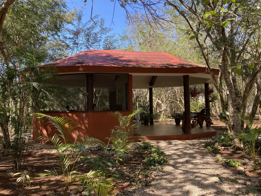 Eco-Hotel Nueva Altia - Réception