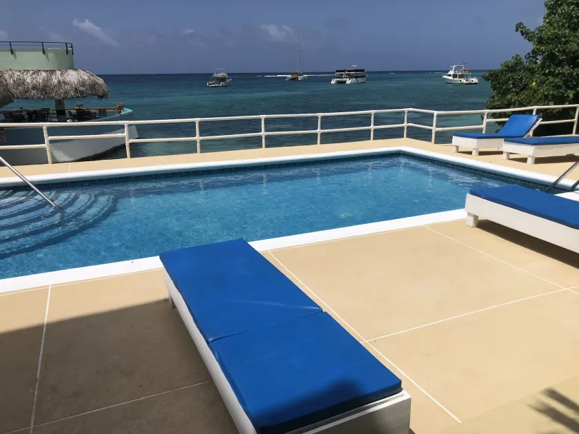 Ocean Palms - Image 1