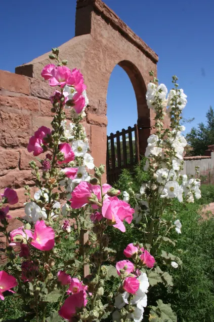 La Posada Hotel and Gardens - Image 1