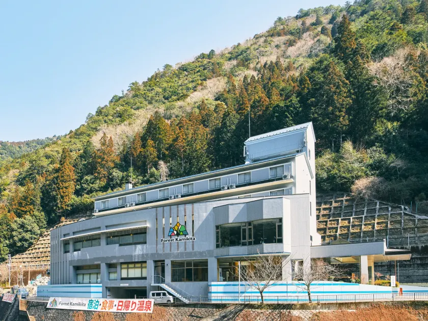 Forest Kamikita - Image 1