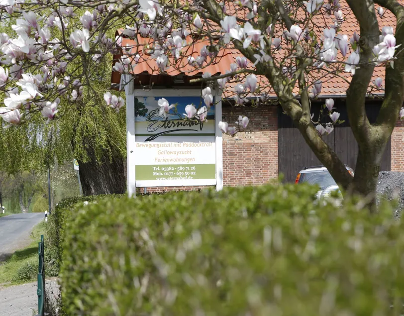 Eternahof - Image 1