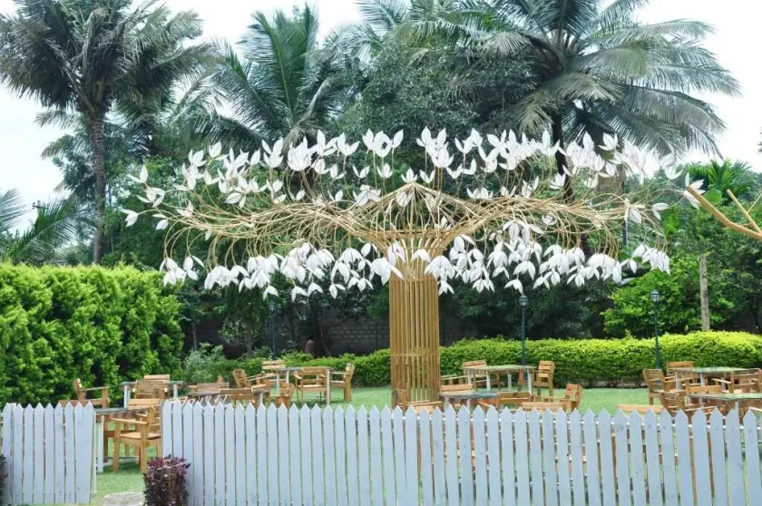 Seed Resort - Image 1