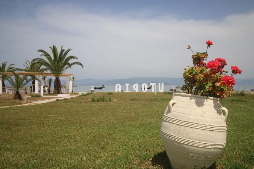 Utopia Kavos Hotel - Image 1