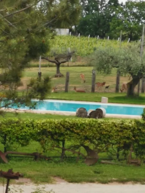 Agriturismo Torre Mannella - Image 1