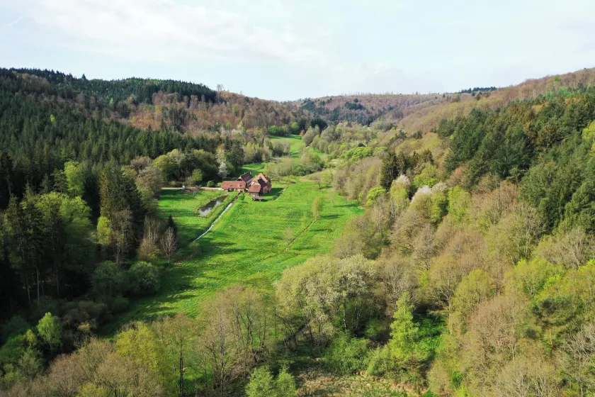Maison d'hôtes La Paulusmühle Ancien moulin en pleine nature - Image 1