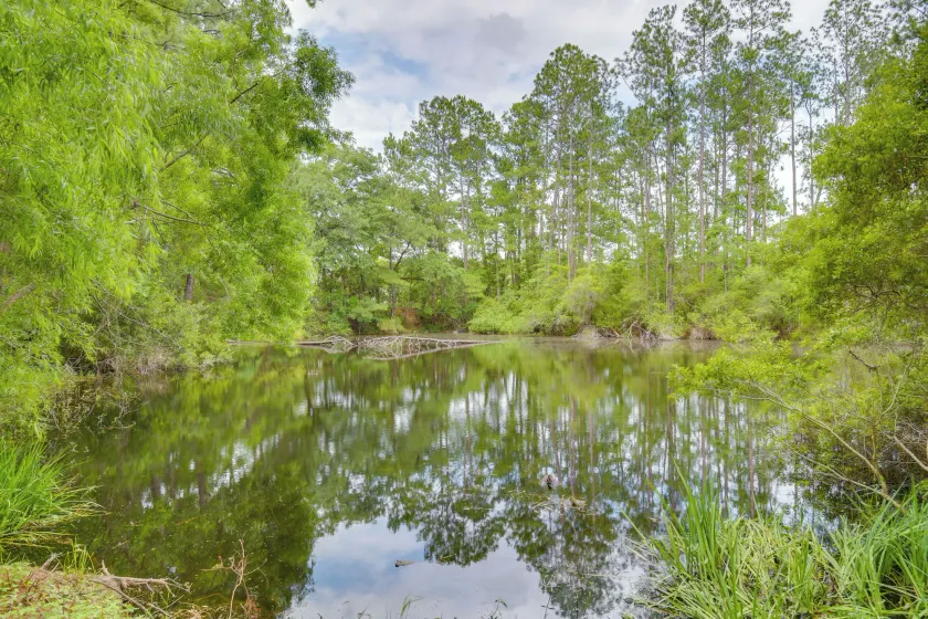 Cozy Fairhope Retreat w/ Patio & Grill! - Interiör