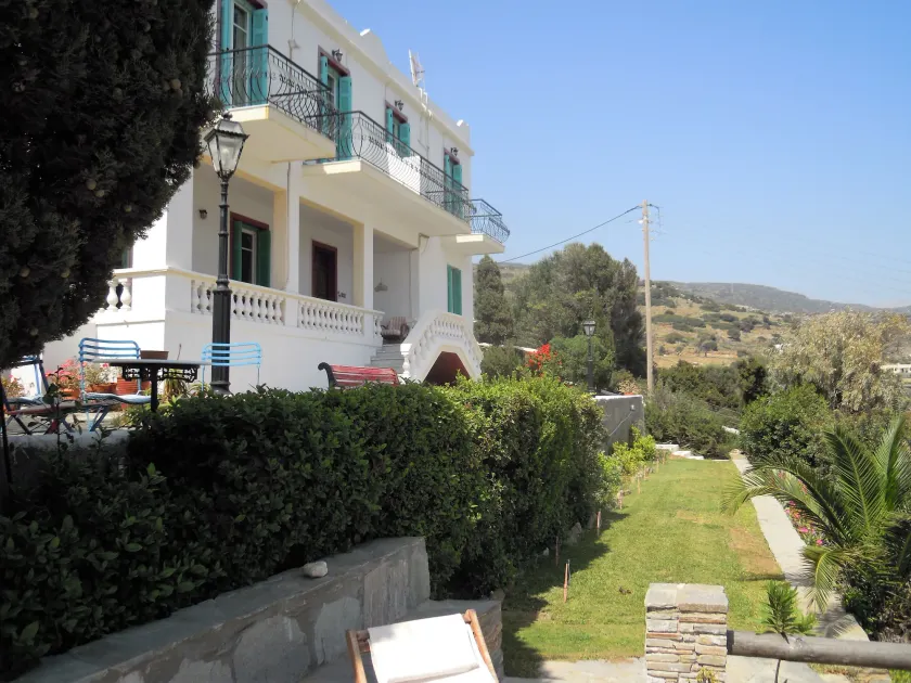 Blue Dolphin - Image 1