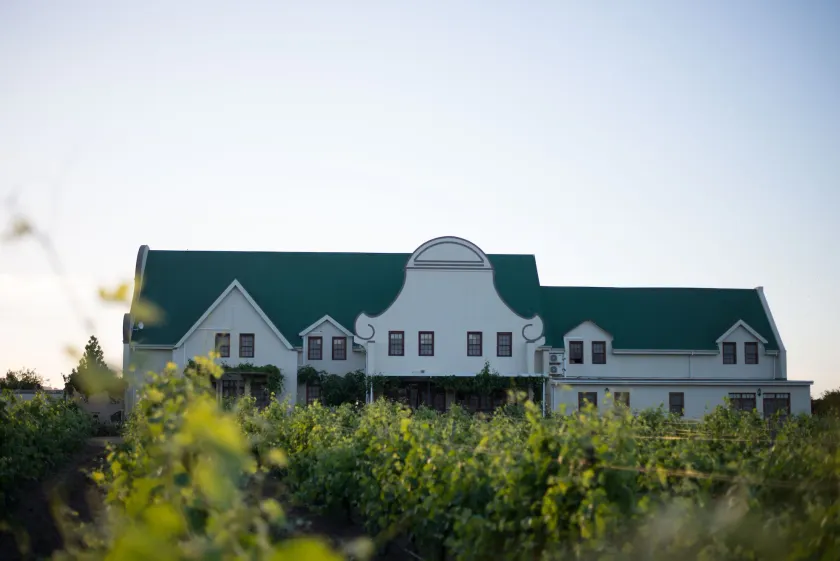 Cana Vineyard Guesthouse - Image 1