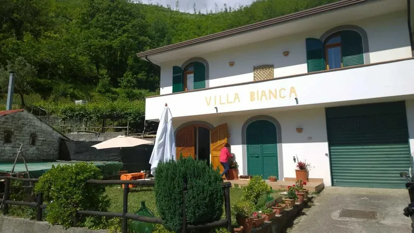 Villa Bianca - Image 1